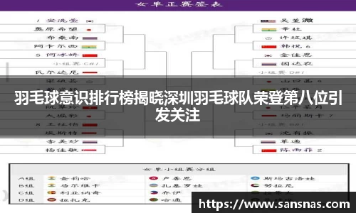 羽毛球意识排行榜揭晓深圳羽毛球队荣登第八位引发关注
