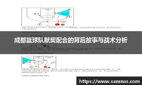成都篮球队默契配合的背后故事与战术分析