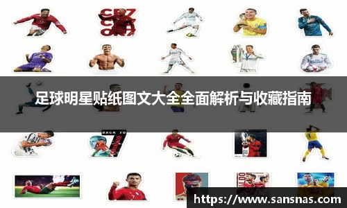 足球明星贴纸图文大全全面解析与收藏指南