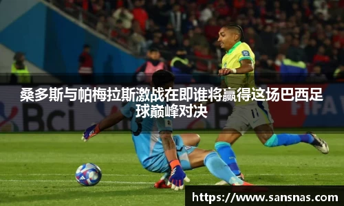 桑多斯与帕梅拉斯激战在即谁将赢得这场巴西足球巅峰对决